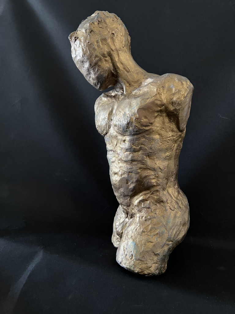 Darcy J. Sears Male Torso